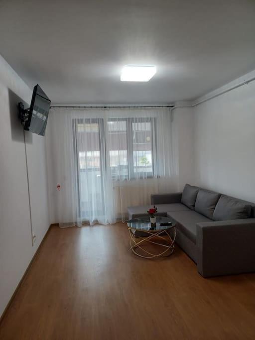 Apartamentul Relaxarii M&f Apartment *