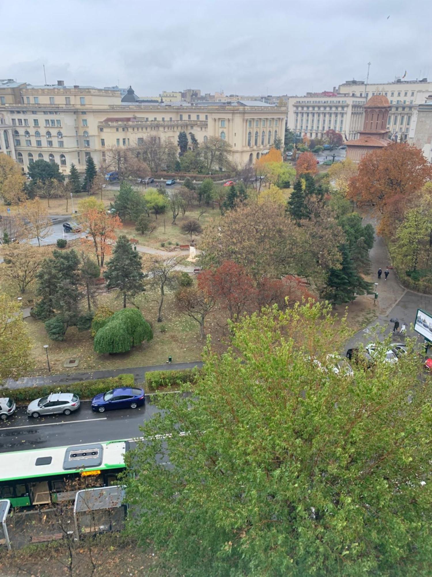 Muse On Victoriei * Bucureşti
