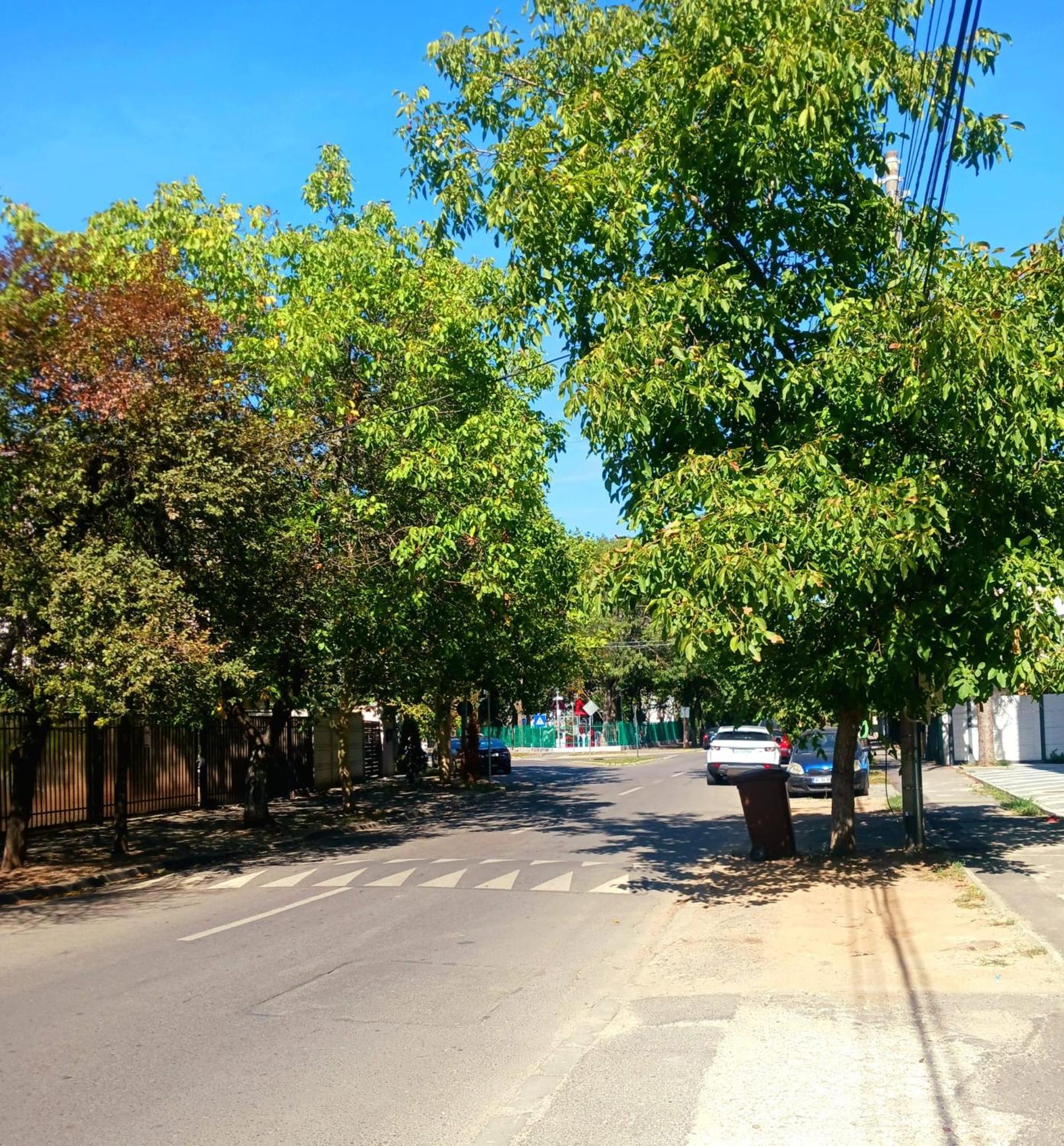 Clara Baneasa North Apartamento
