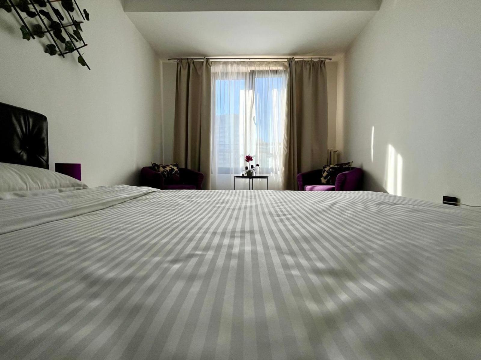 Apartment Calea Victoriei Chic *