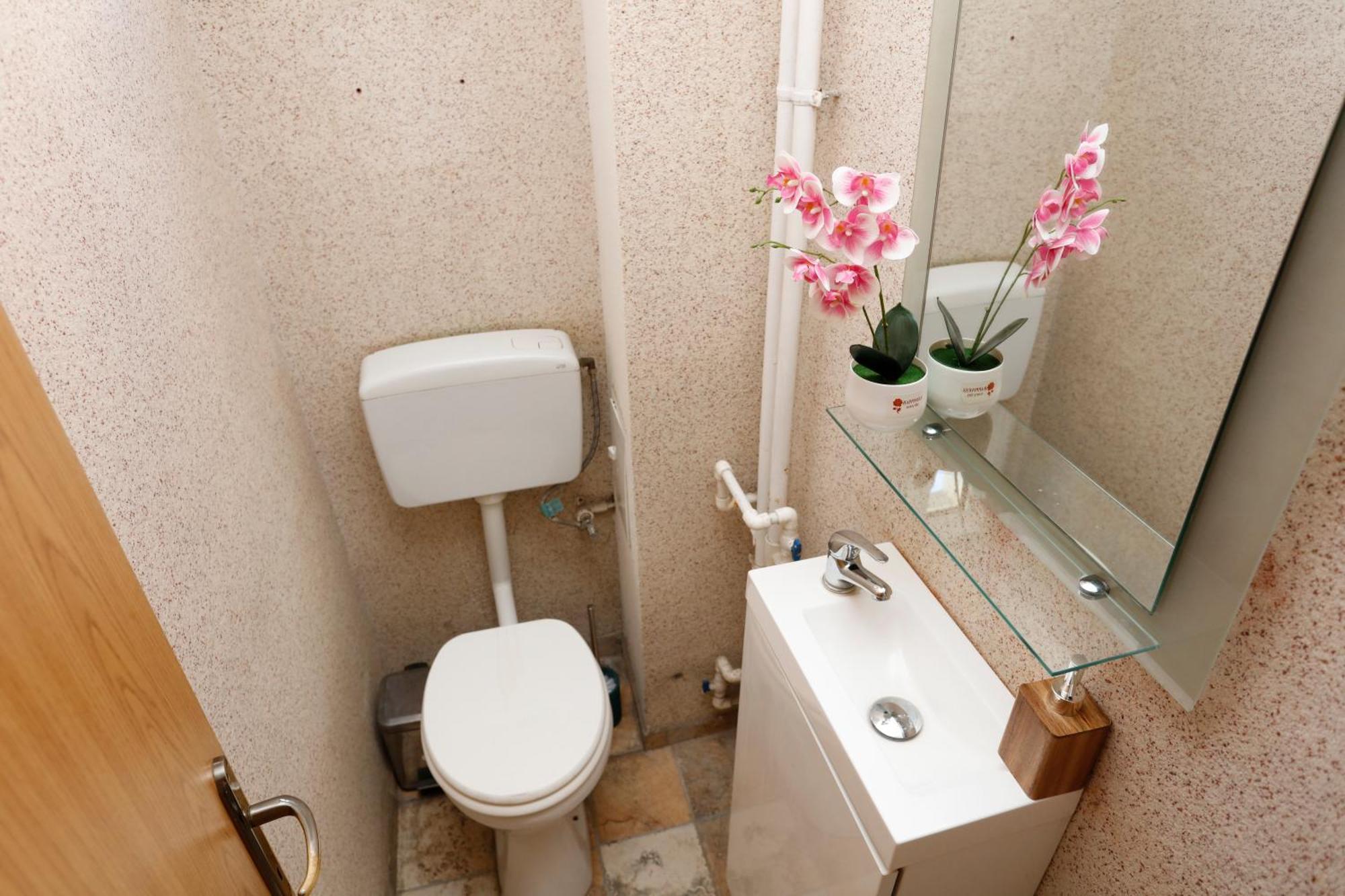Calea Victoriei Old Town Apartment