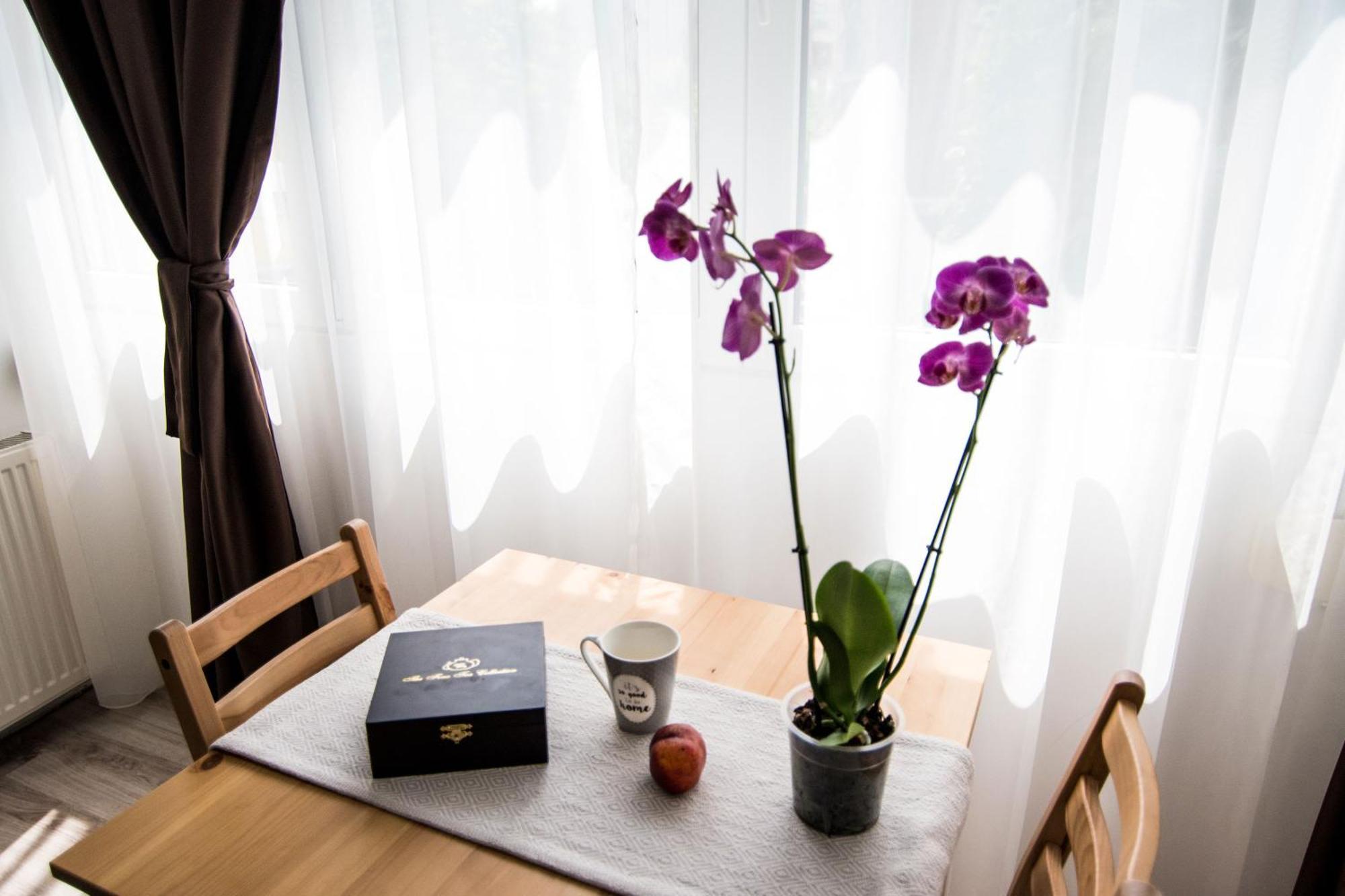 Apartment Center By Alia Bucharest