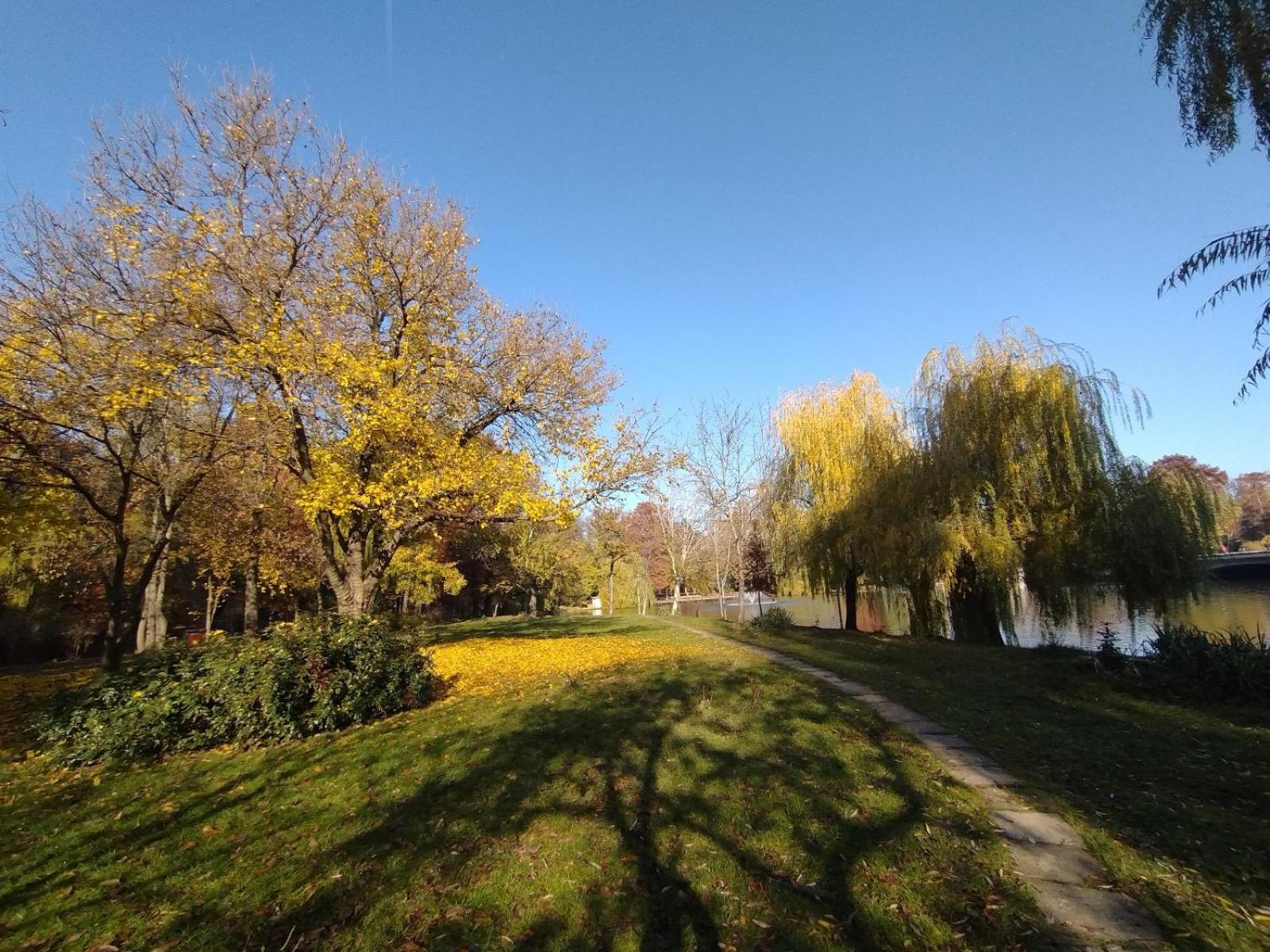 Central Area Park Carol Apartament Apartment *
