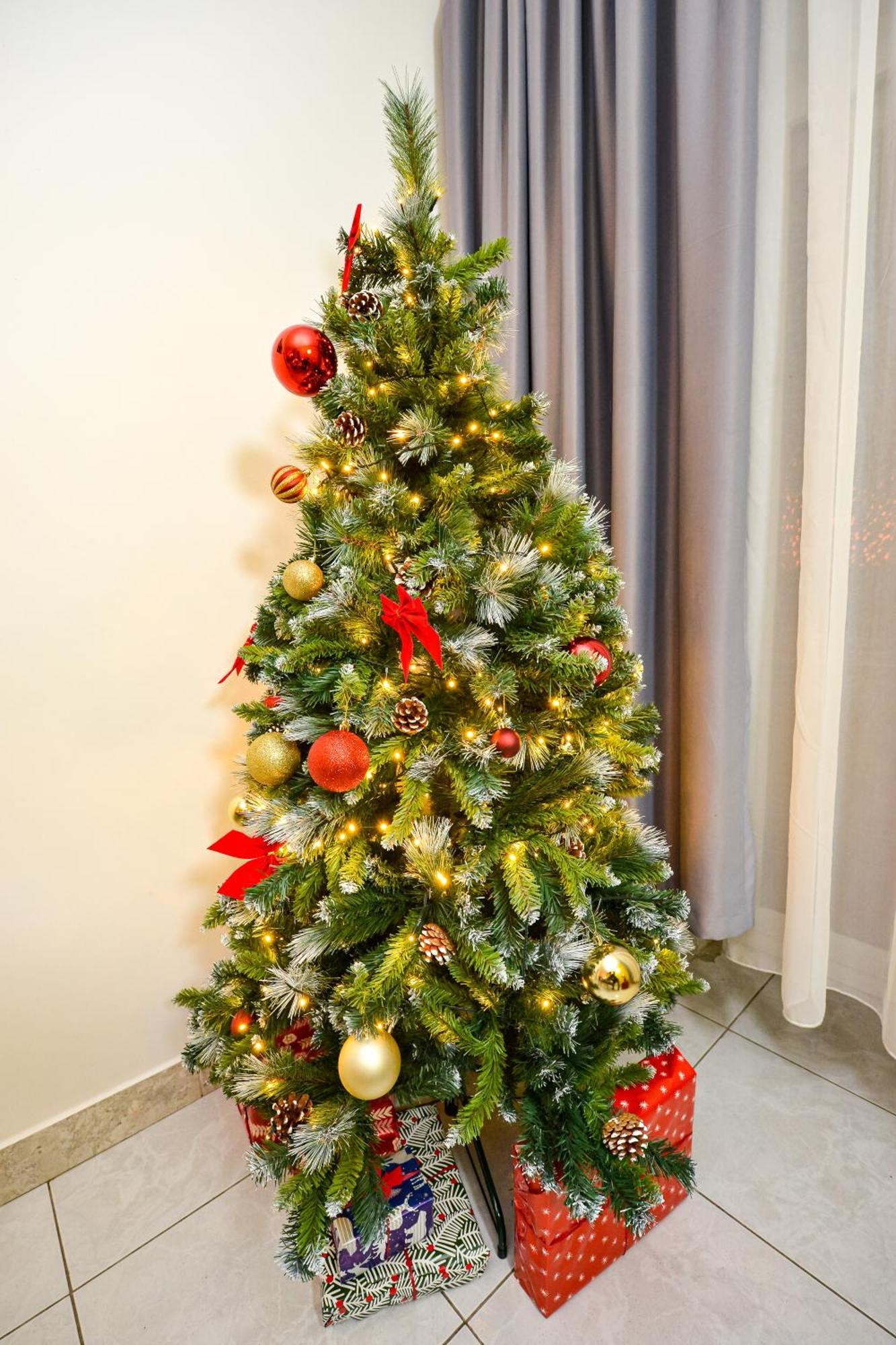 Apartamento Ideal Center *