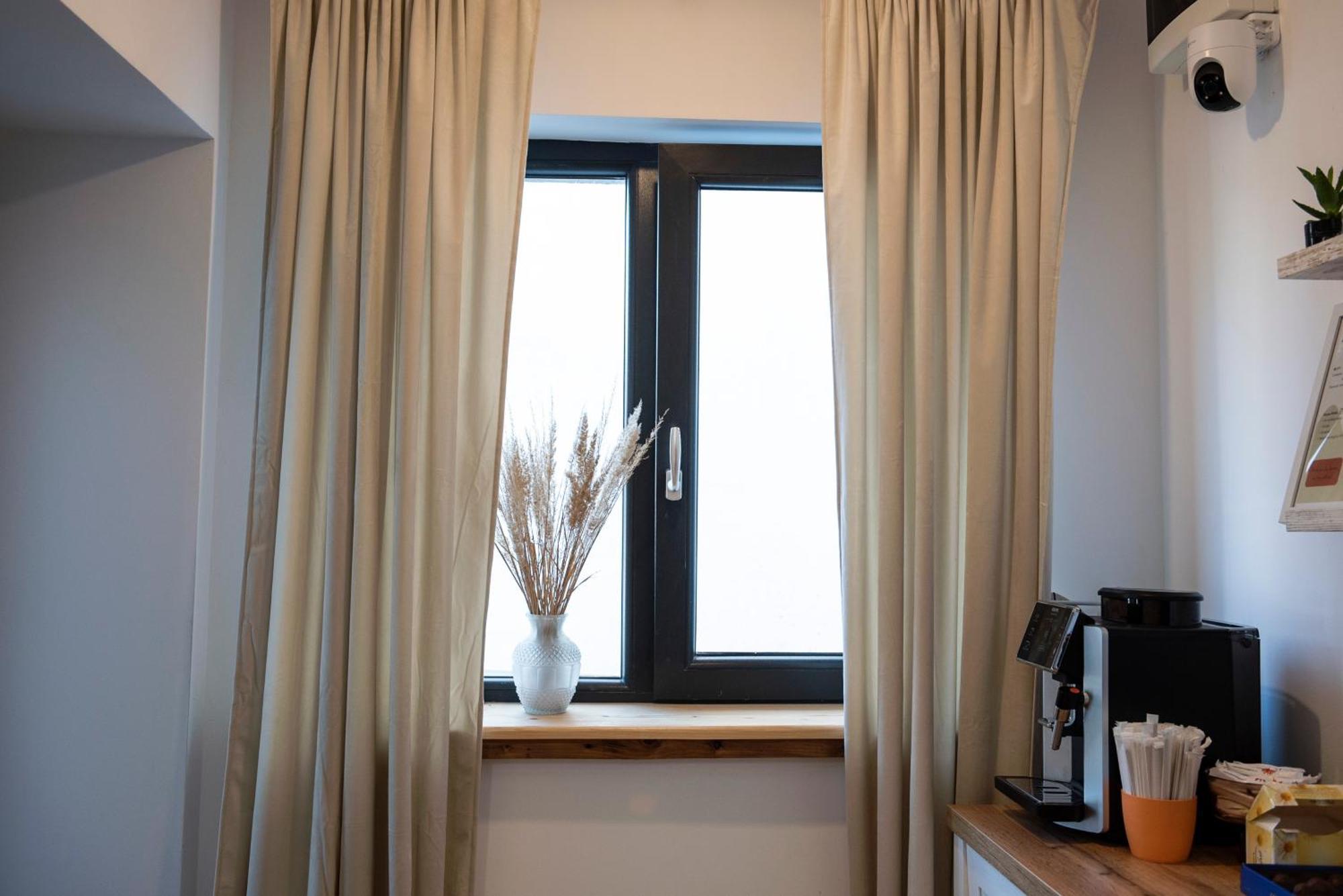 Lazynest * Bucureşti