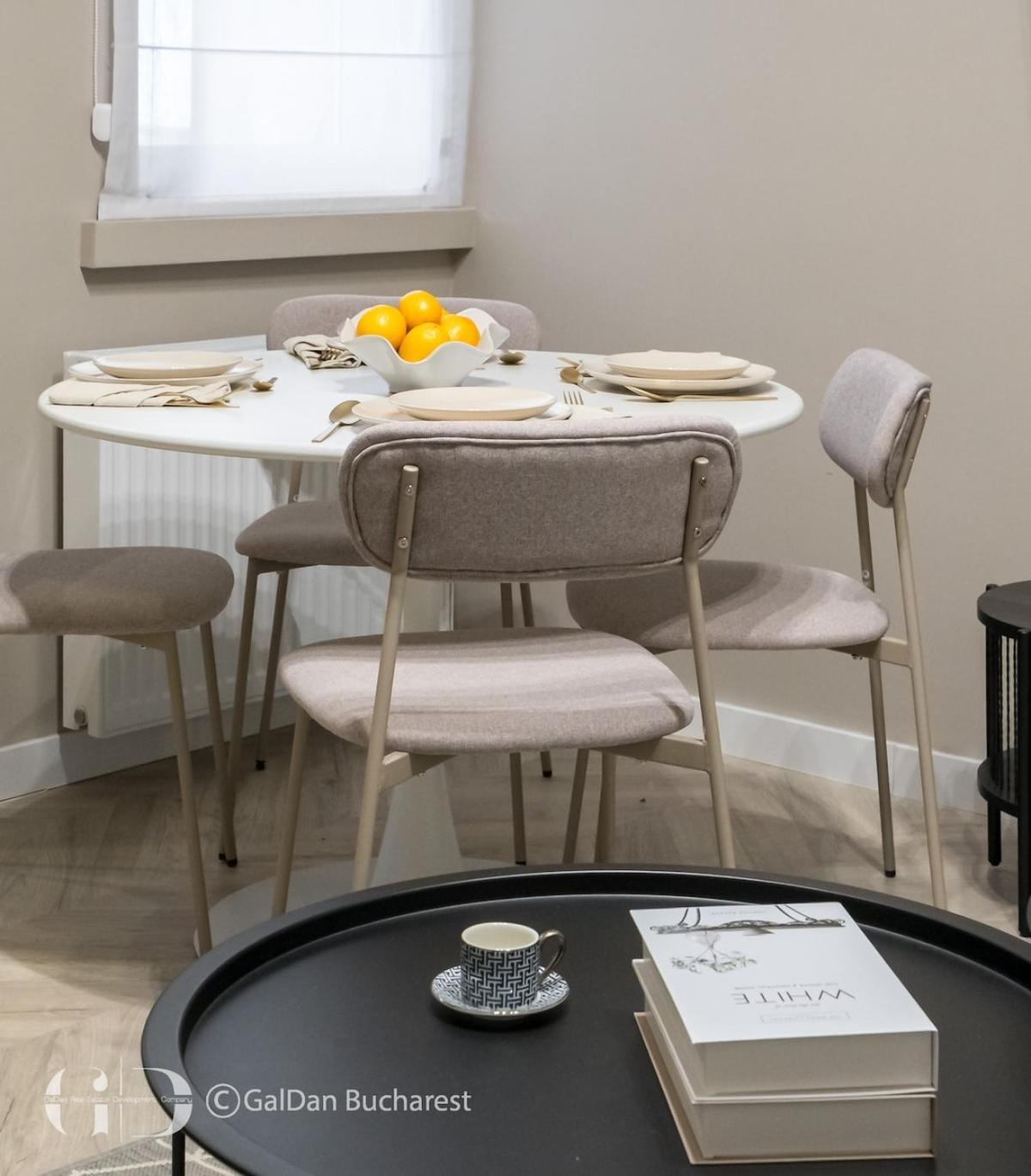 Cismigui Park Apartment