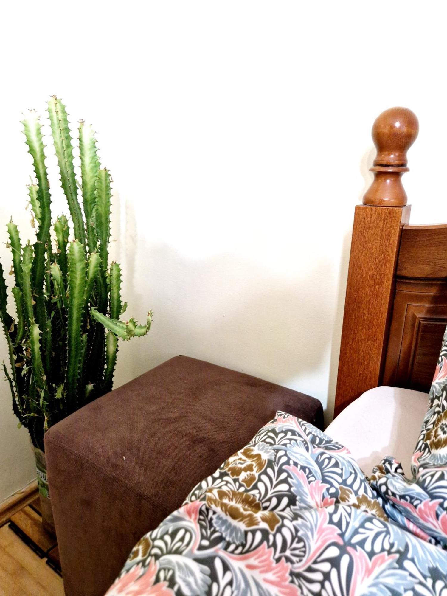 Vintage Apartment *