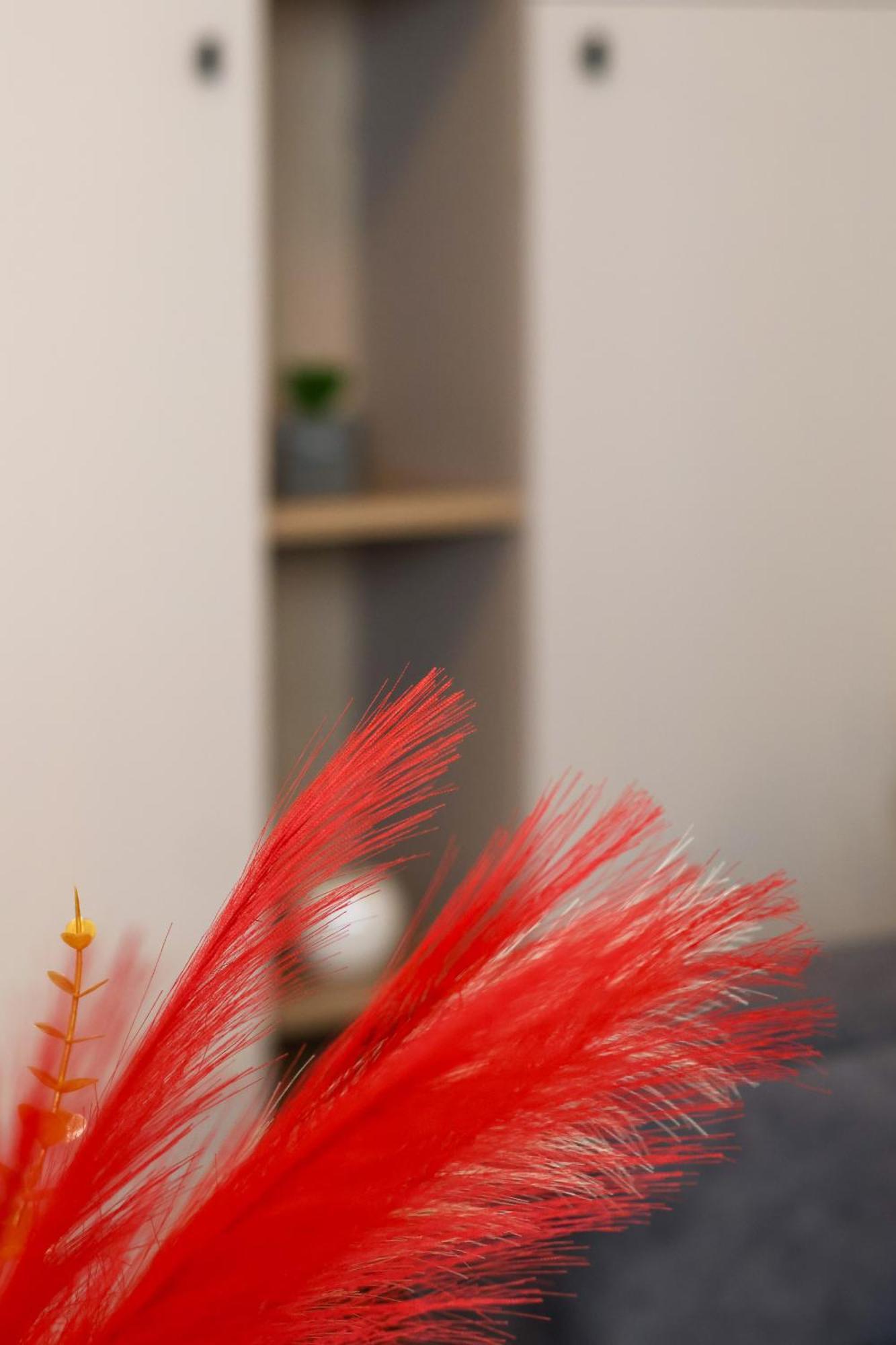 Hils Pallady Apartment *