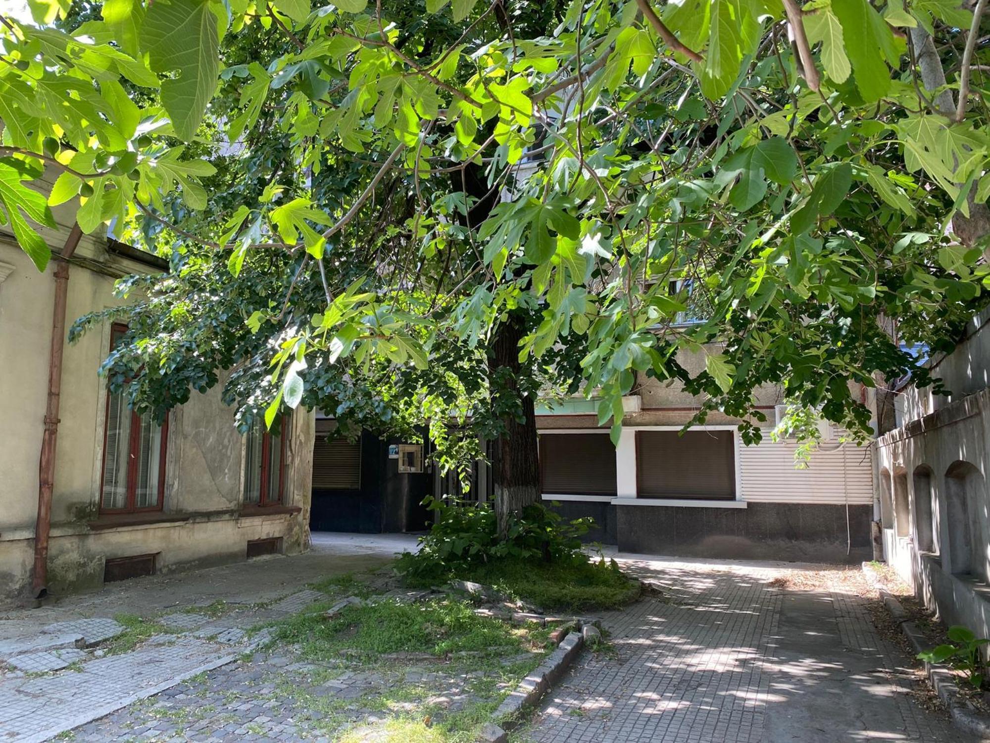 Apartamento The Linden Bucareste
