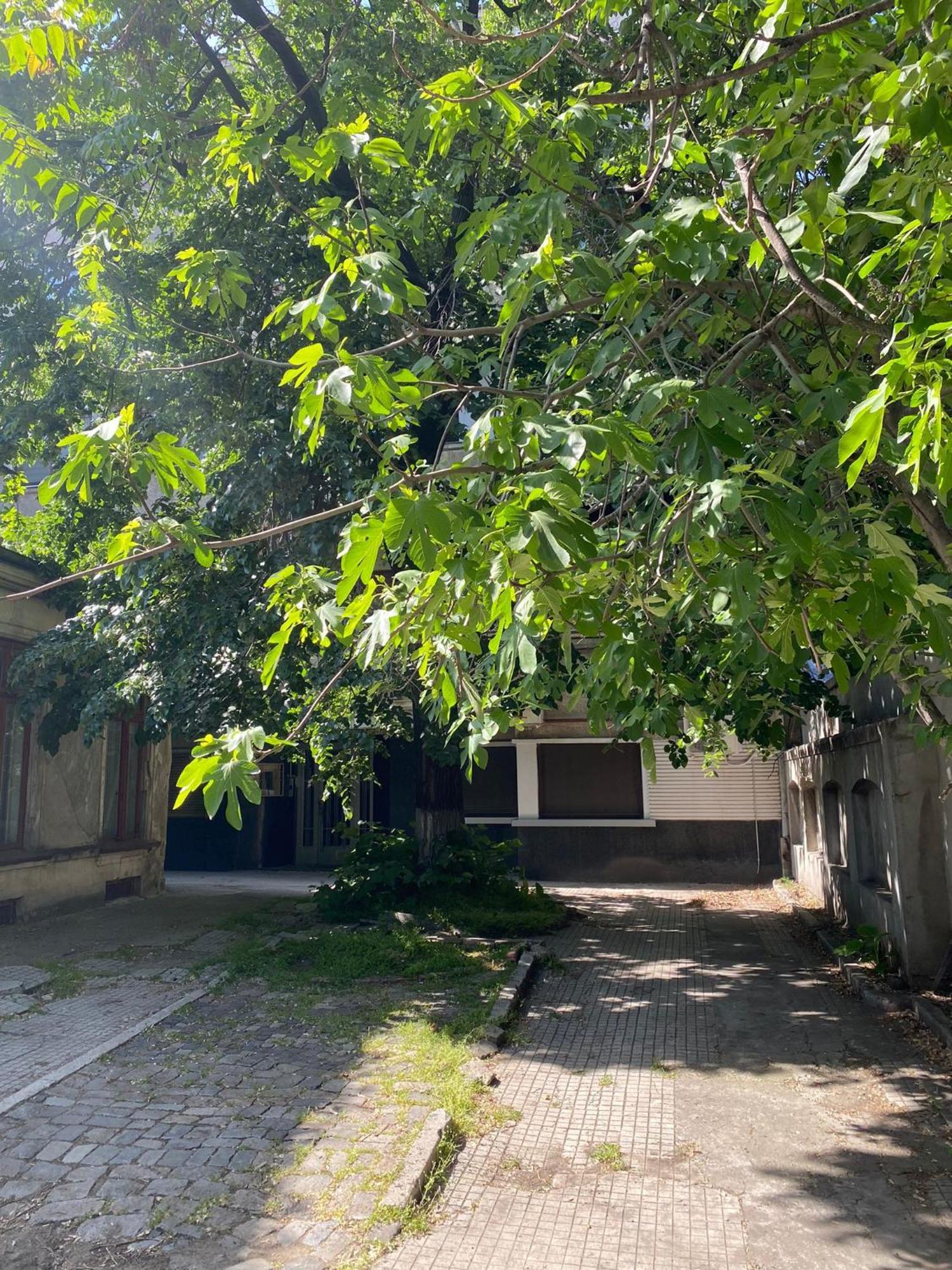 Apartamento The Linden *