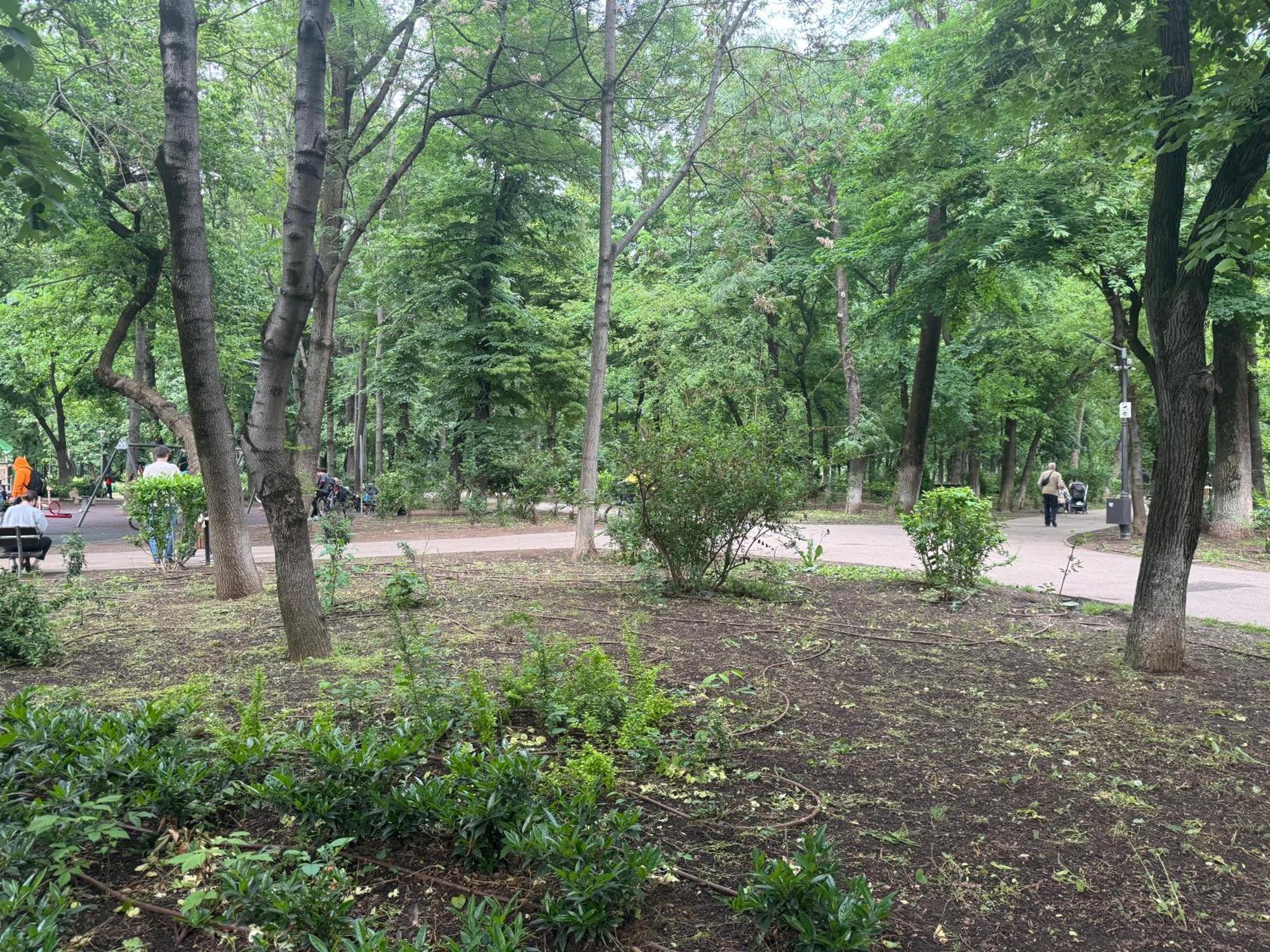 Kiseleff Park - Piata Victoriei Bucharest