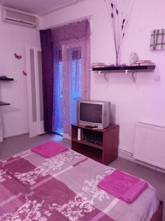 Purple Butterfly Studio In City Center Apartament Bucureşti