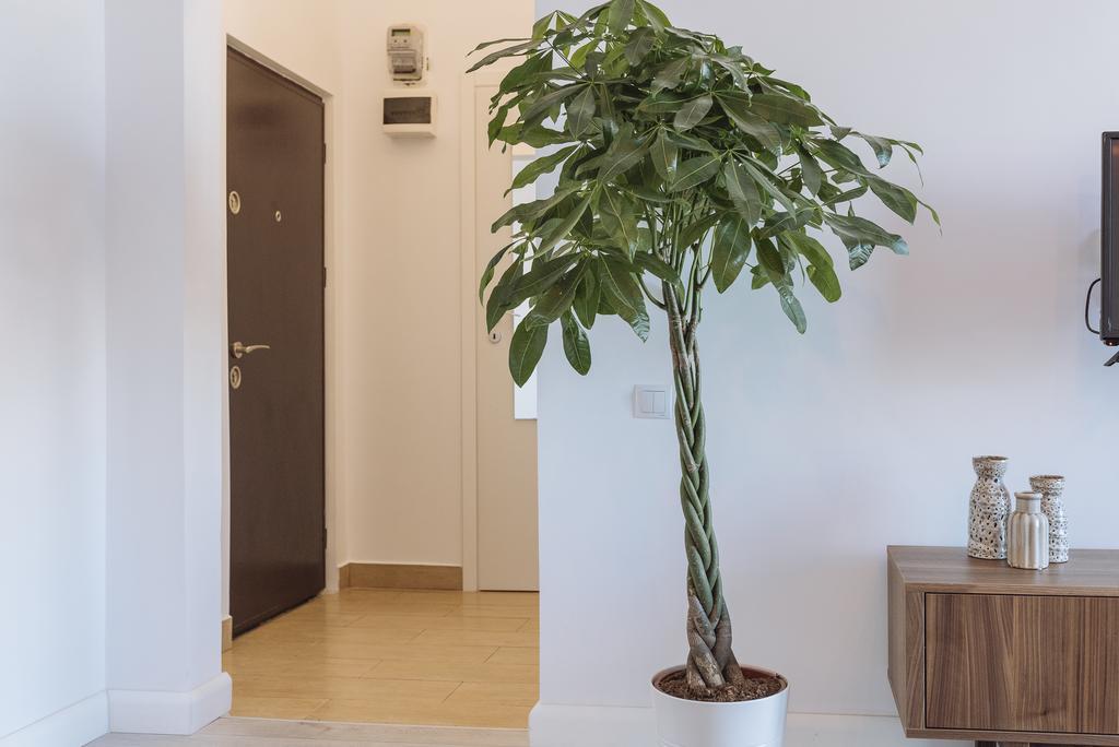 Apartamento Universitate Heart View Bucareste