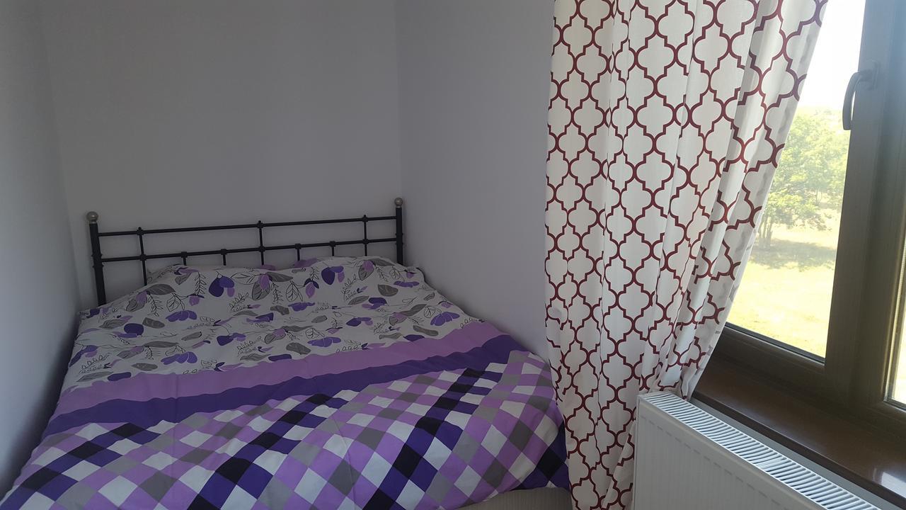 Pipera Park Lake View Apartment