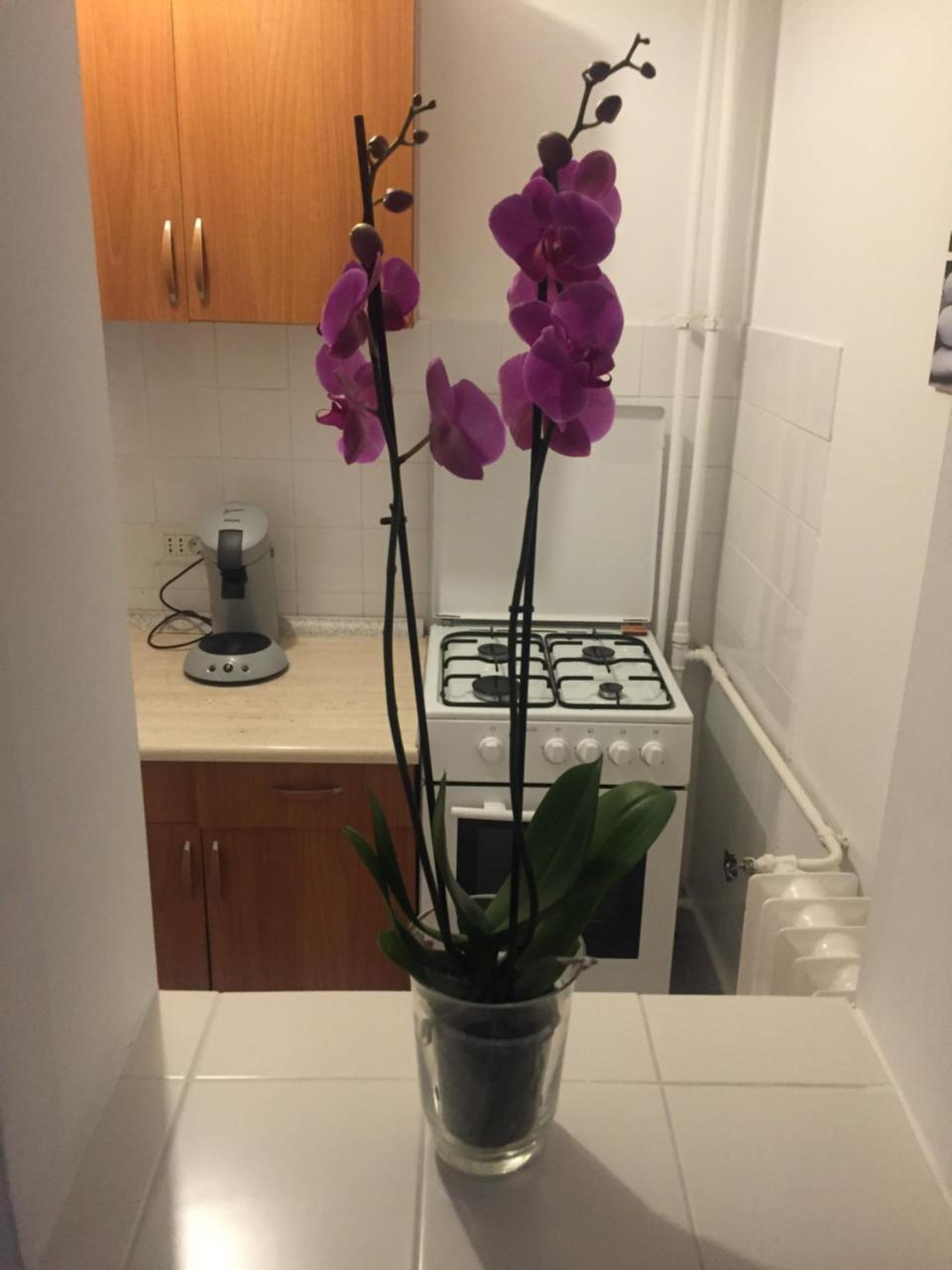 Marcy Studio Apartment *