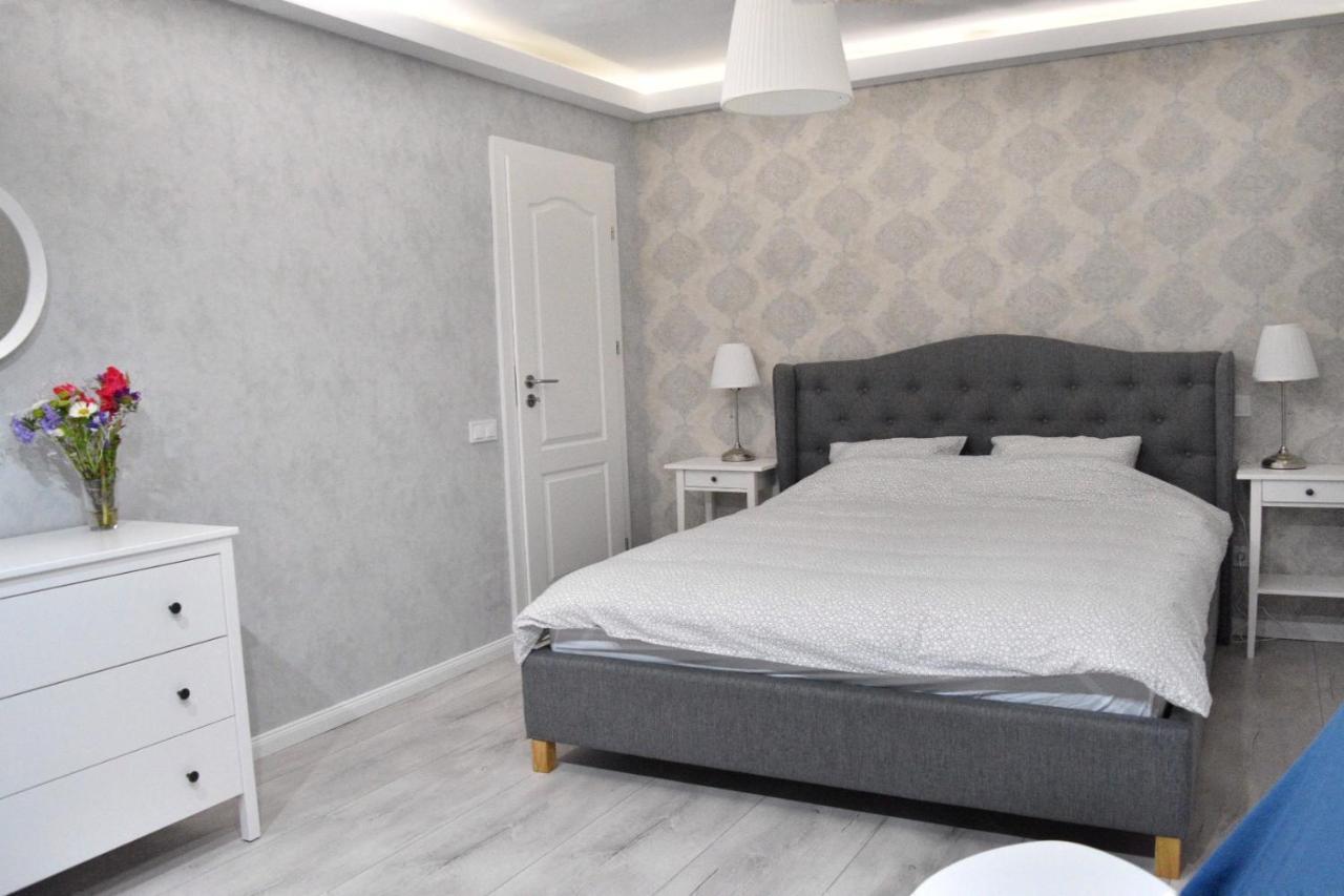 Zebra's House Bucharest