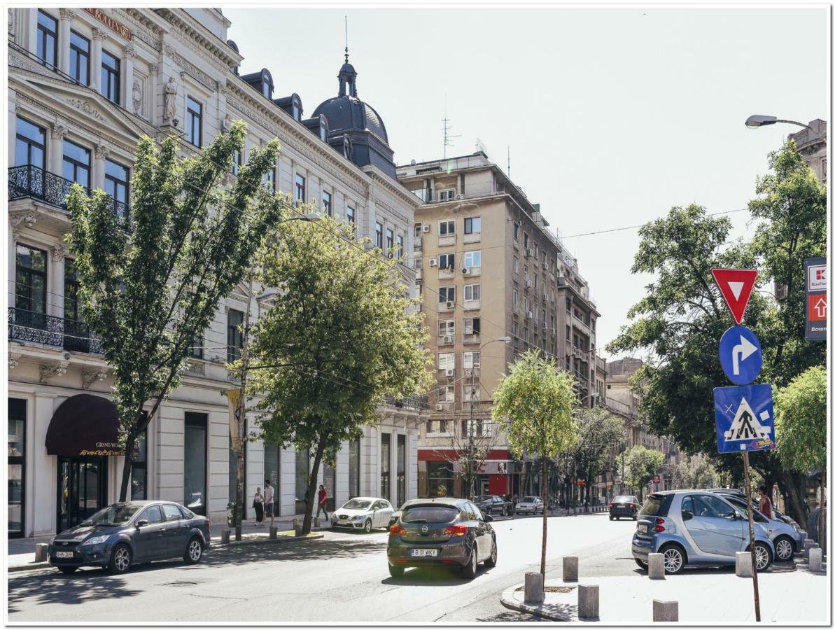 Regina Elisabeta Apartment Bucharest