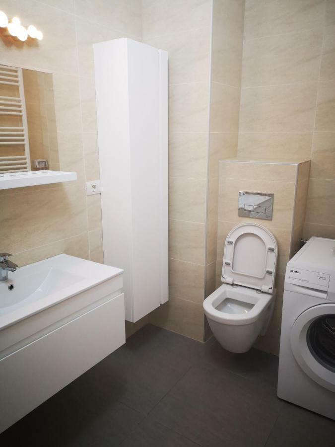 Strada Smaranda Braescu Apartment