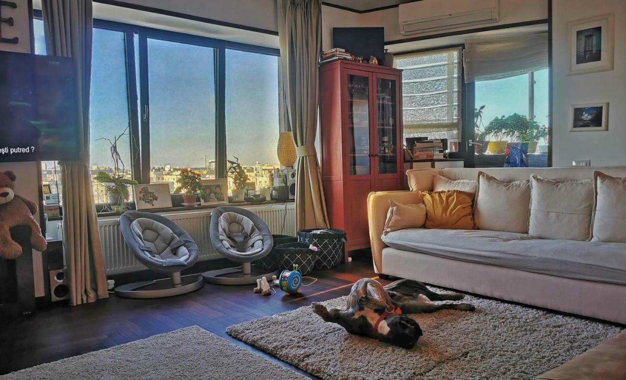 Downtown Penthouse With Fantastic Views Bucureşti