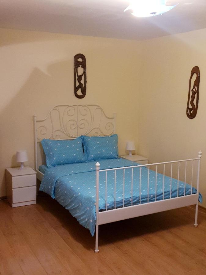 Central Studio Parcul Circului Apartment