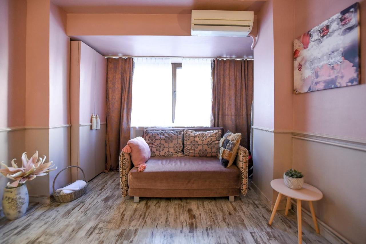 Purrfect & Dreamy - The Special Studio