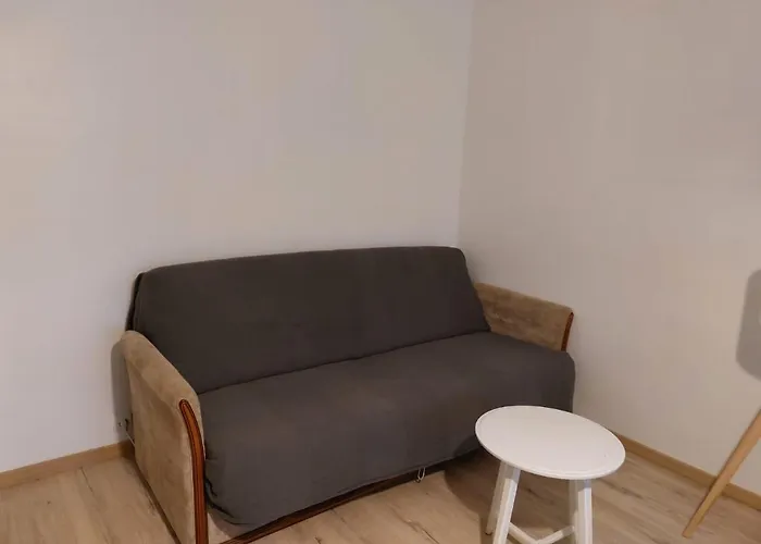 Piata Victoriei Sanador Studio Apartment