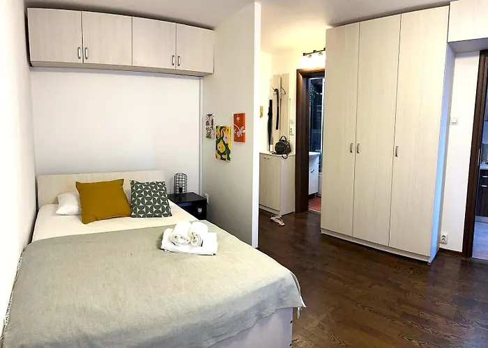 Studio Victoriei - Central Location With Ac