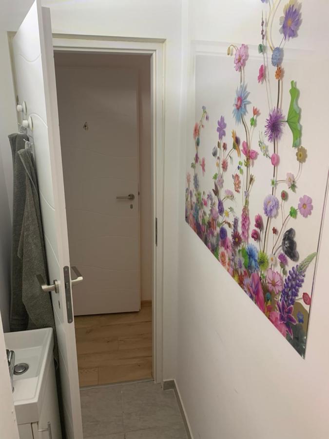 Bed & Breakfast Bucarest B&B *