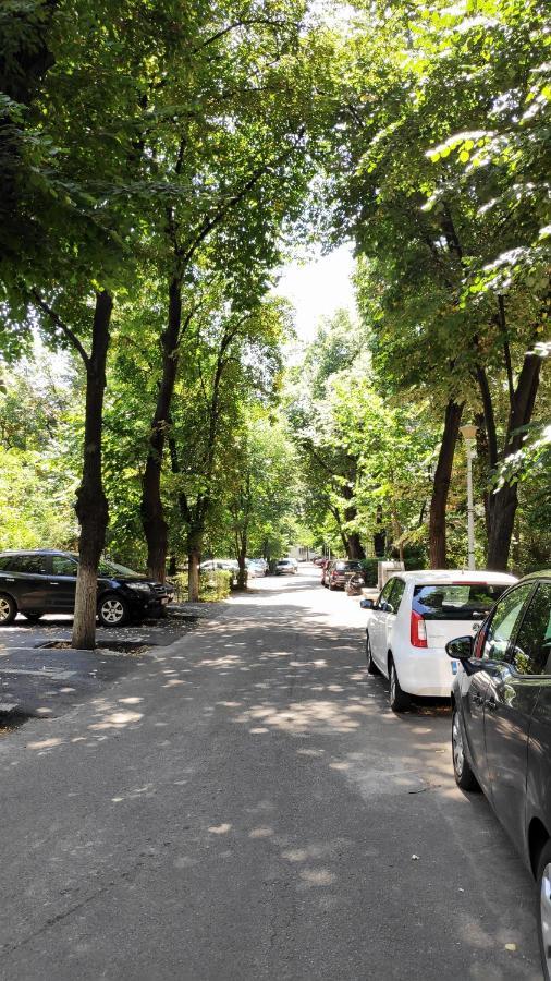 Mexonia Apartament Bucureşti