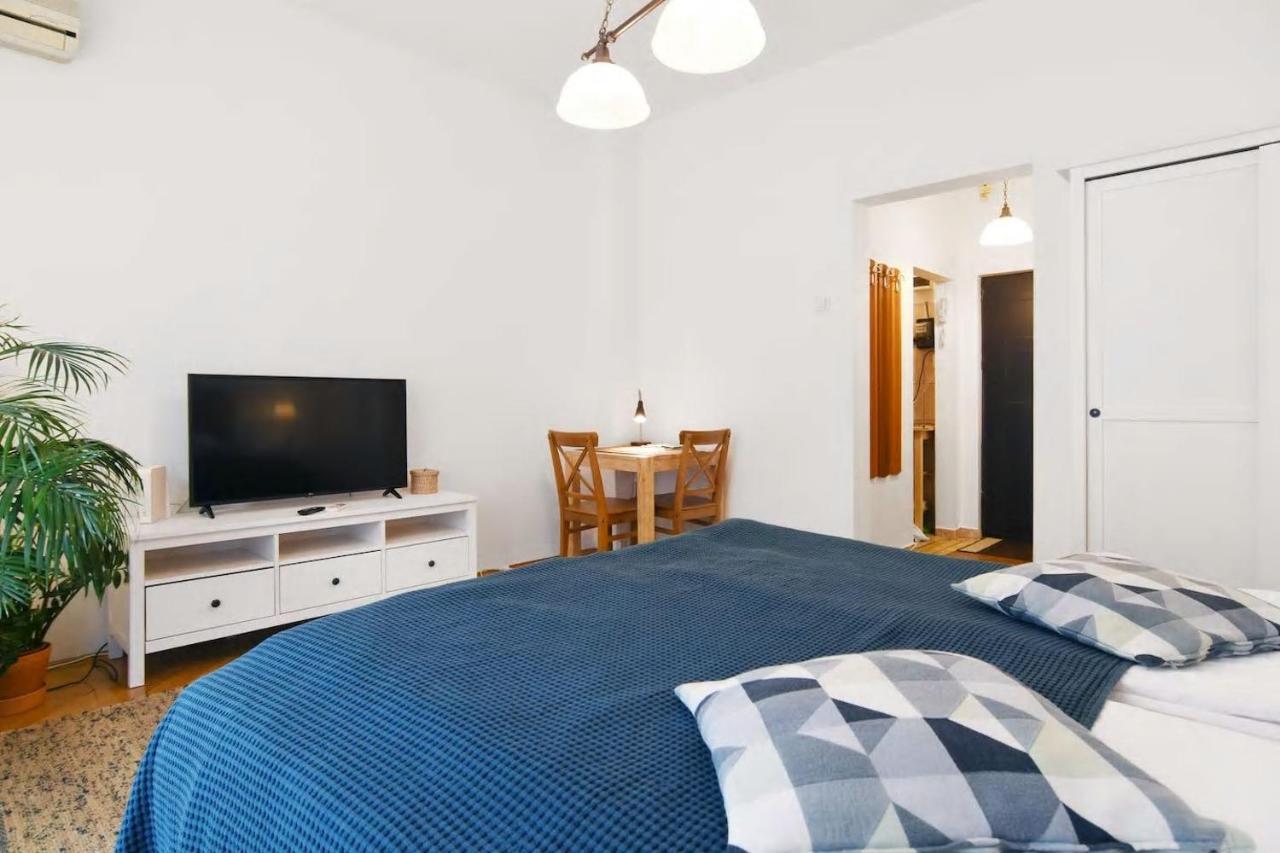 Apartment Downtown - Cismigiu Park *