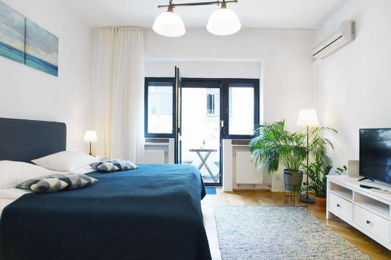 Apartment Downtown - Cismigiu Park