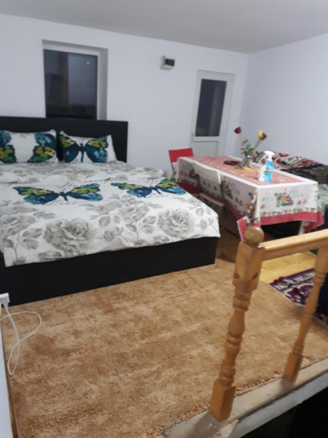 Sara 3 Dormitoare Nu Primesc Santieristi Si Petrecareti Holiday home *