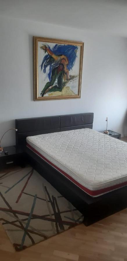 Apartament Ultracentral Piața Unirii *