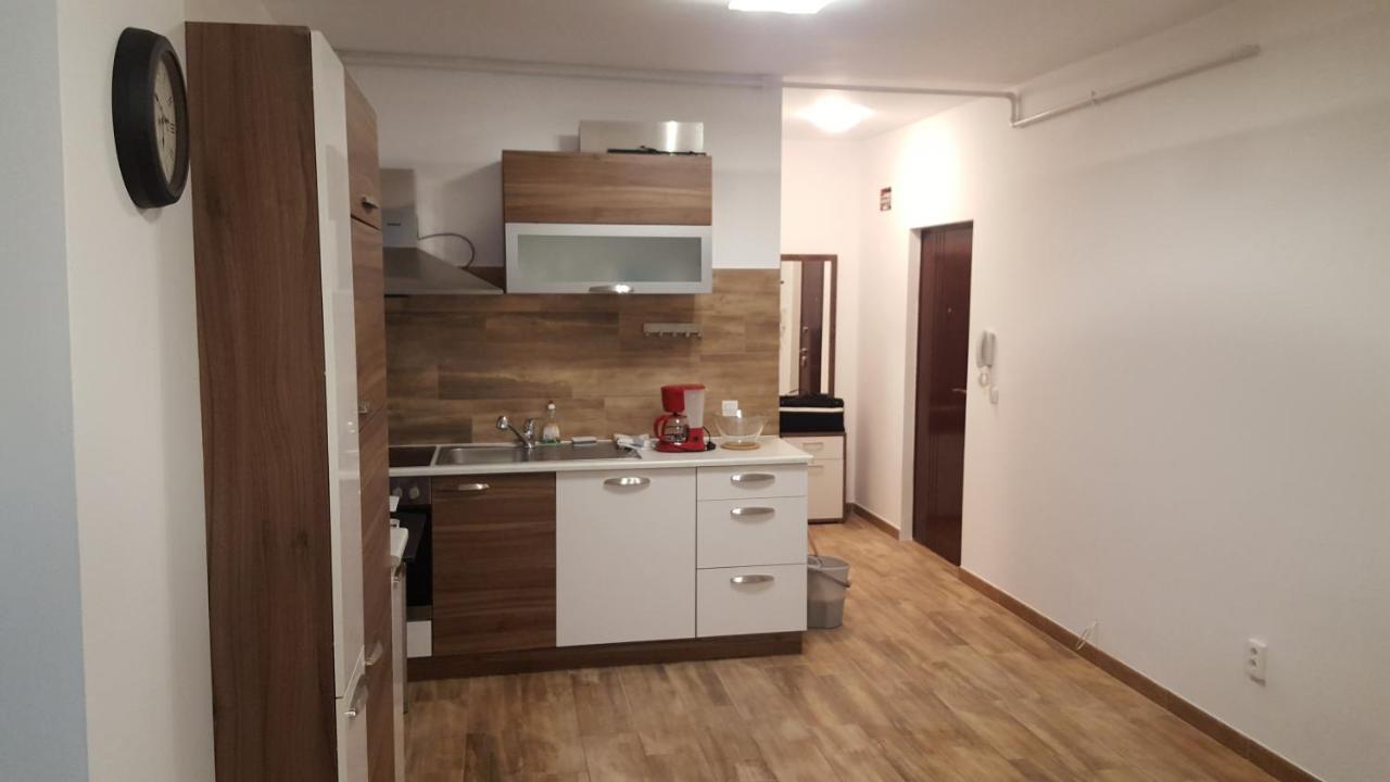 Apartament Lenus'k *