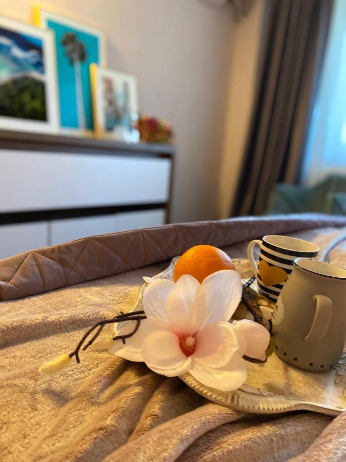Apartament Victoriei Deluxe
