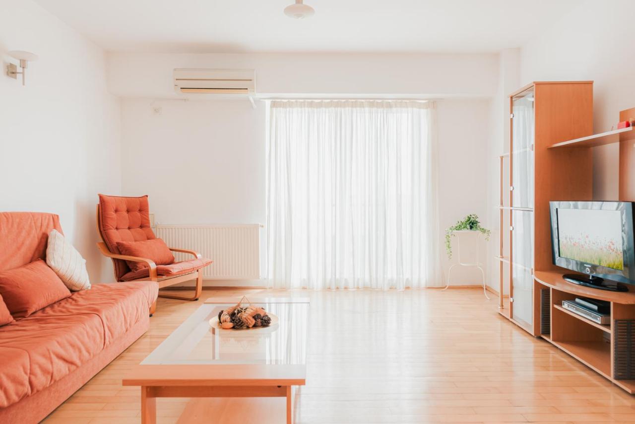 Piata Victoriei Apartment Bucharest
