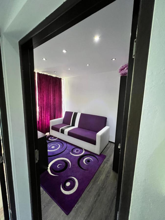 Apartament Apartament Linistit Si Luxos Piata Sudului