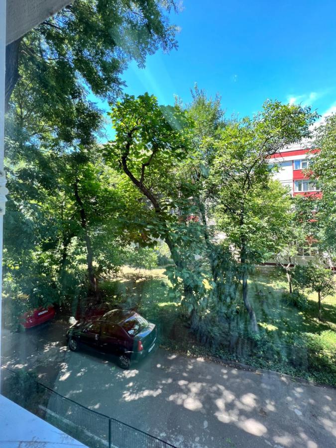 Apartament Apartament Linistit Si Luxos Piata Sudului *