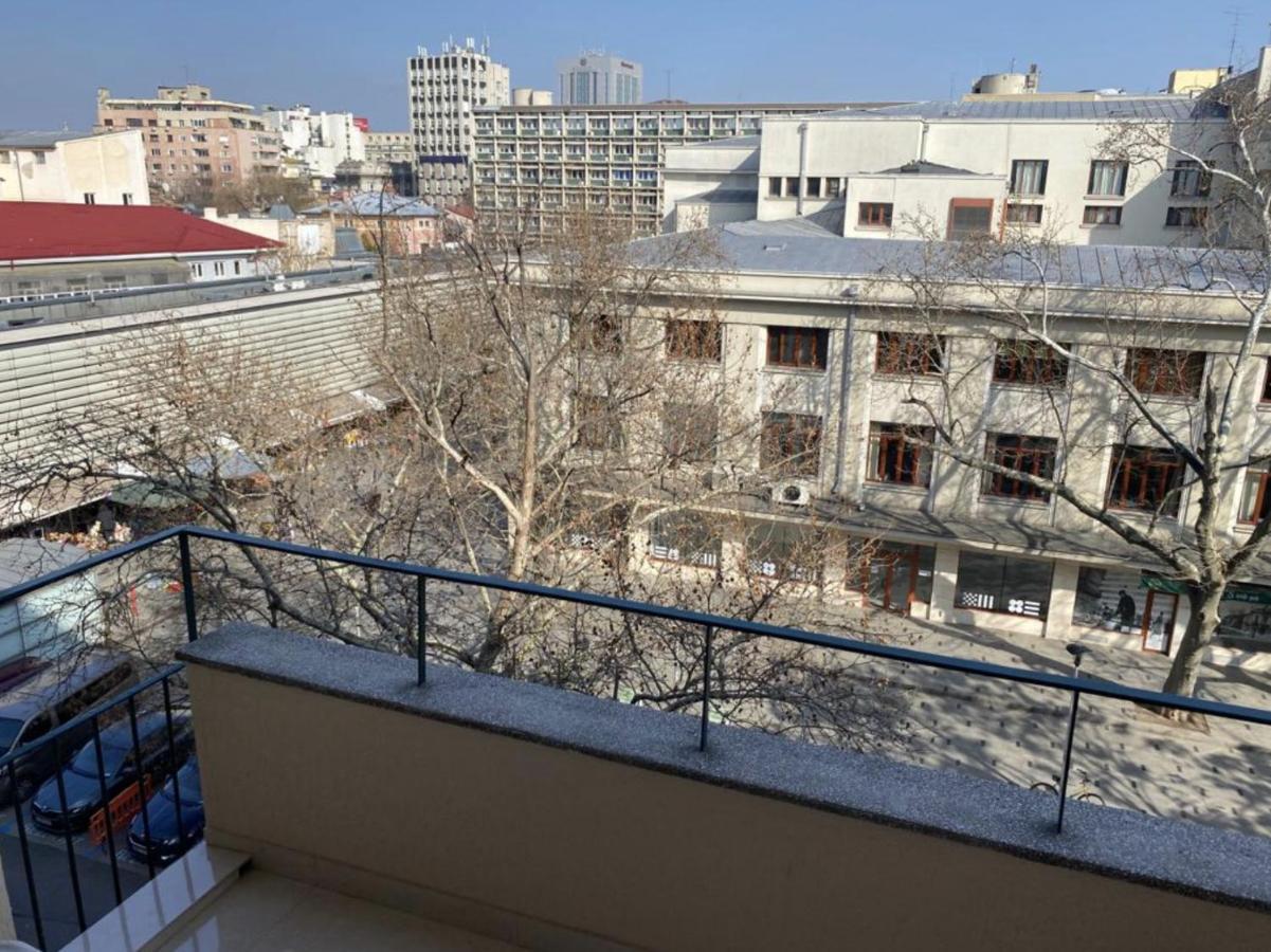 Luxury Center - Amzei Romana Apartment *