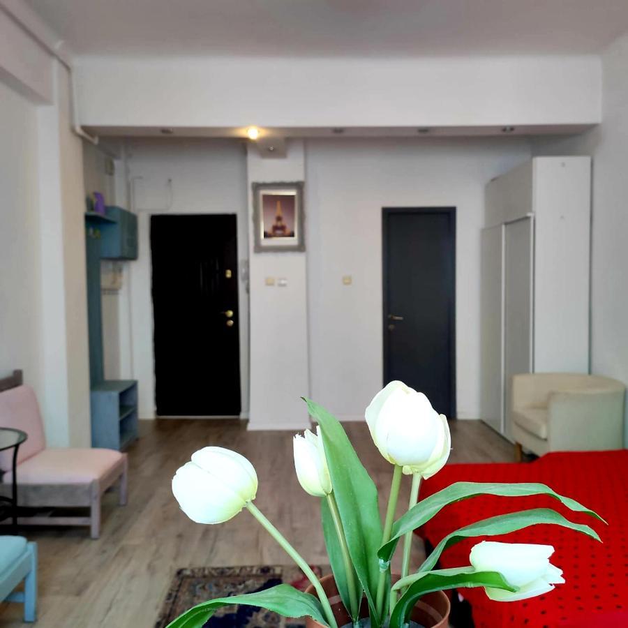 Garsoniera Centrul Bucurestiului Apartament *