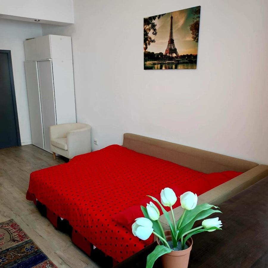 Garsoniera Centrul Bucurestiului Apartament Bucureşti