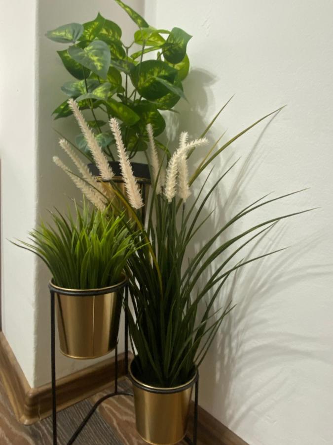 Charming Studio In Center Of Bucharest,ground Floor, Near Old * Bucureşti