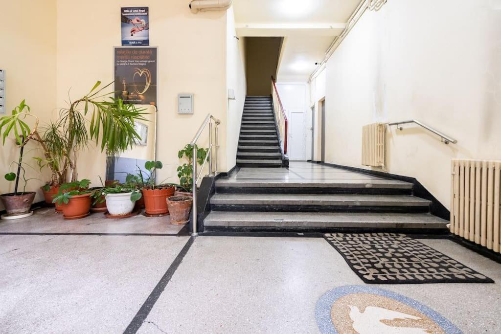 Mellow - Calea Victoriei - 2br Luxury Bucureşti