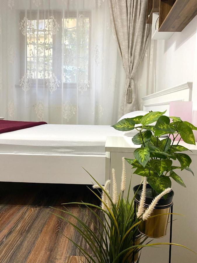 Charming Studio In Center Of Bucharest,ground Floor, Near Old * Bucureşti