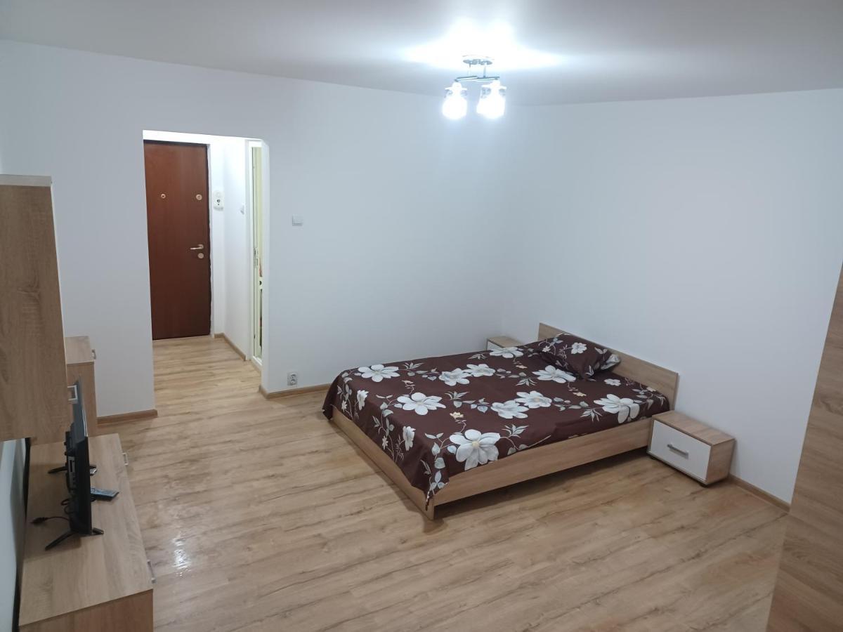 Apartament Studio Veteranilor *