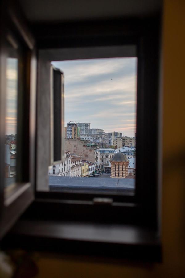 Amo Apartamento