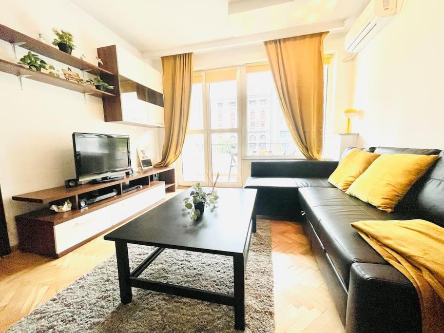 Cozy 1 Bedroom Flat, Ultracentral, Free Wifi Bucharest