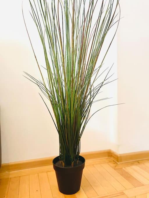 Cozy 1 Bedroom Flat, Ultracentral, Free Wifi Apartment *