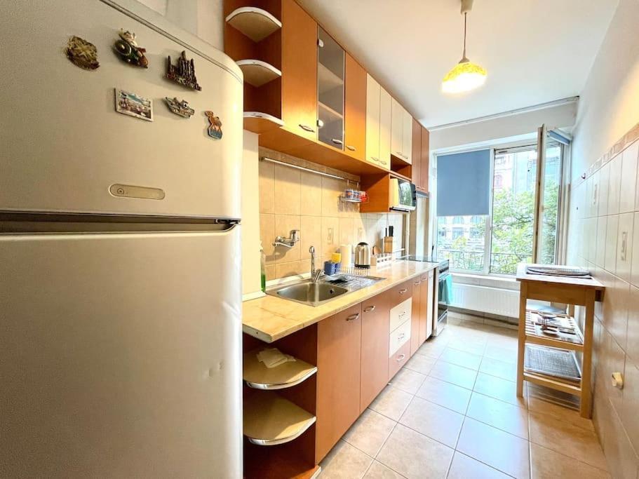 Cozy 1 Bedroom Flat, Ultracentral, Free Wifi * Bucharest
