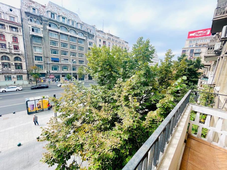 Cozy 1 Bedroom Flat, Ultracentral, Free Wifi Apartment Bucharest
